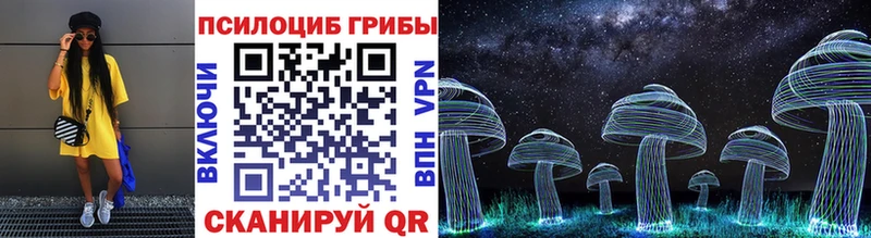 Псилоцибиновые грибы MAGIC MUSHROOMS  где купить наркоту  mega онион  Строитель 