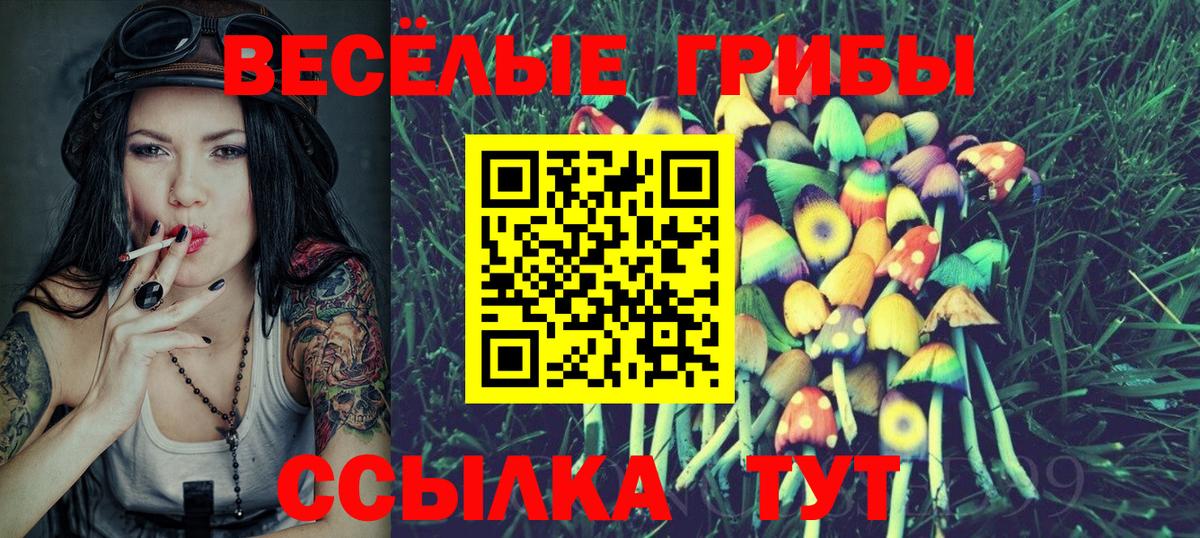 Псилоцибиновые грибы ЛСД  Вход с VPN  магазин    Строитель 