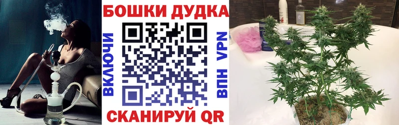 магазин  наркотиков  Строитель  МАРИХУАНА Amnesia 